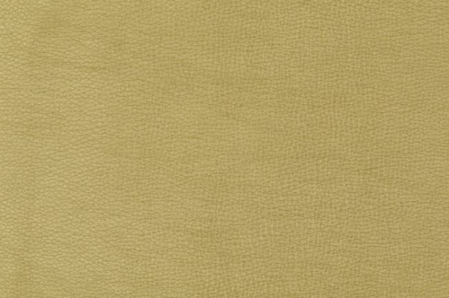 Koženka s leskom v zlatej farbe 129.470/0100