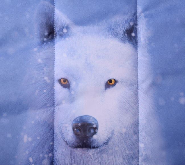 Prešitie v modrej farbe s digitálnou potlačou vlka a snehových vločiek PL-NL-401