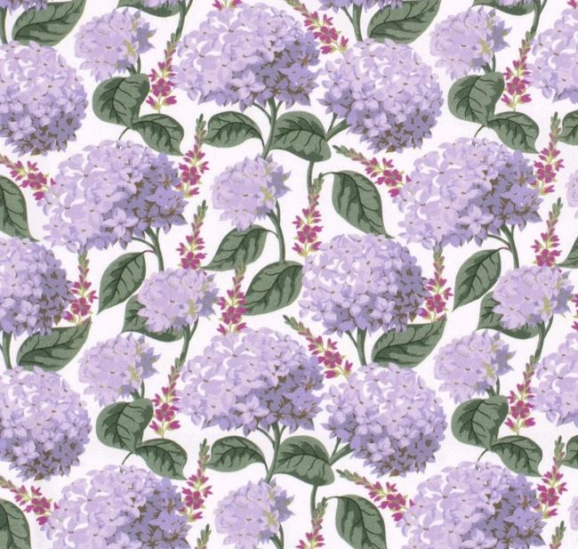 Popelín v bielej farbe s potlačou fialových kvetov hortenzie 19748/050