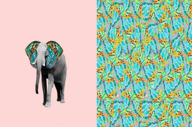 Bavlnený úplet v staroružovej farbe s digitálnou potlačou slona 130.551/0002