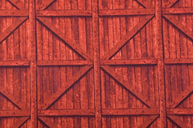 Americká bavlna na patchwork s motívom červeného dreva 199PYOPM/38