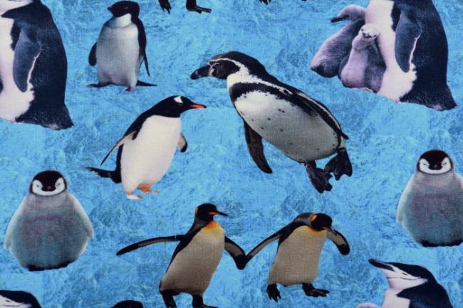Bavlnený úplet s digitálnou potlačou tučniakov 61061