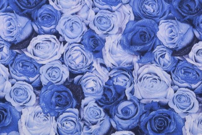 Elastický úplet s potlačou modrých ruží 11511/005