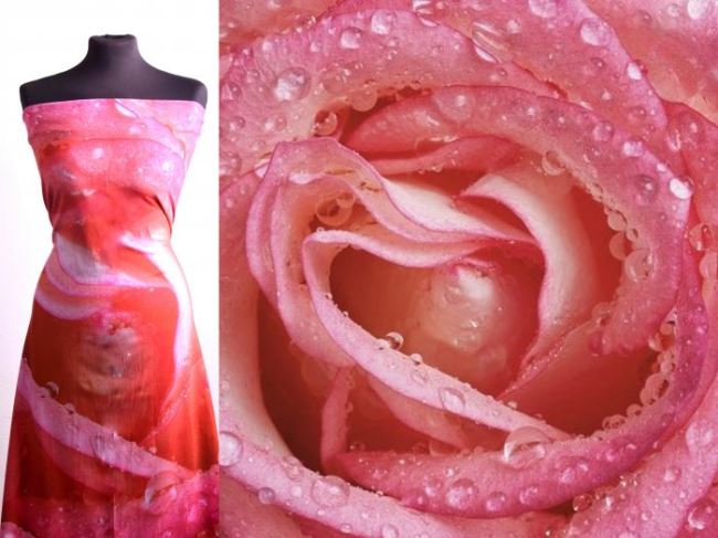 Bavlnený úplet s digitálnou potlačou kvetu ruže 63292