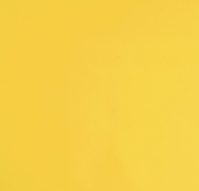 Koženka vo svetlo žltej farbe 11350/035