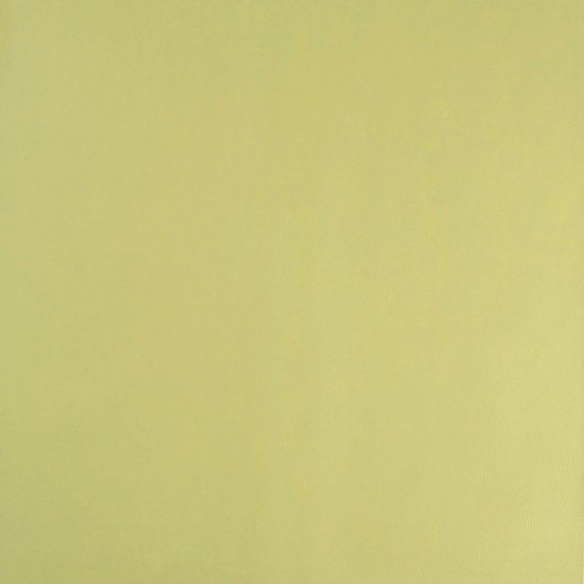 Koženka v zelenej farbe 11350/123