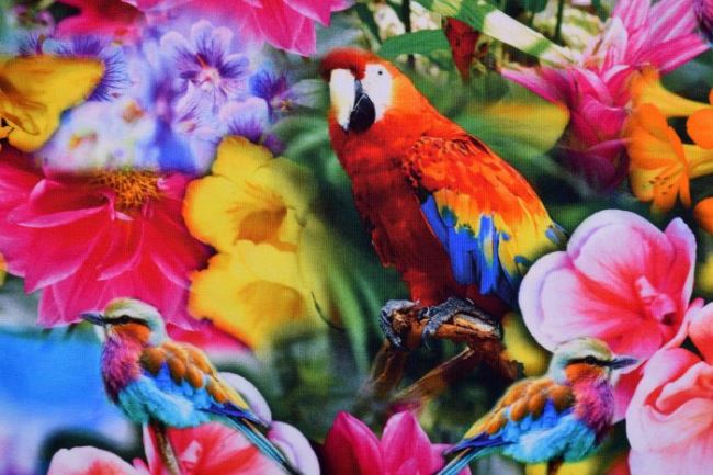 Bavlnený digitálny úplet s potlačou papagájov a tropických kvetov KC7502-157